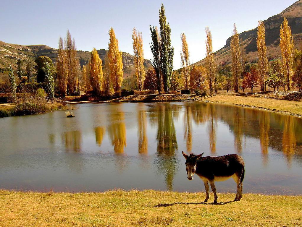Lake Clarens Guest House المظهر الخارجي الصورة