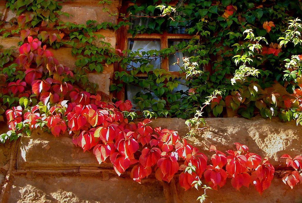 Lake Clarens Guest House المظهر الخارجي الصورة