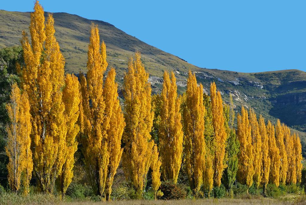 Lake Clarens Guest House المظهر الخارجي الصورة