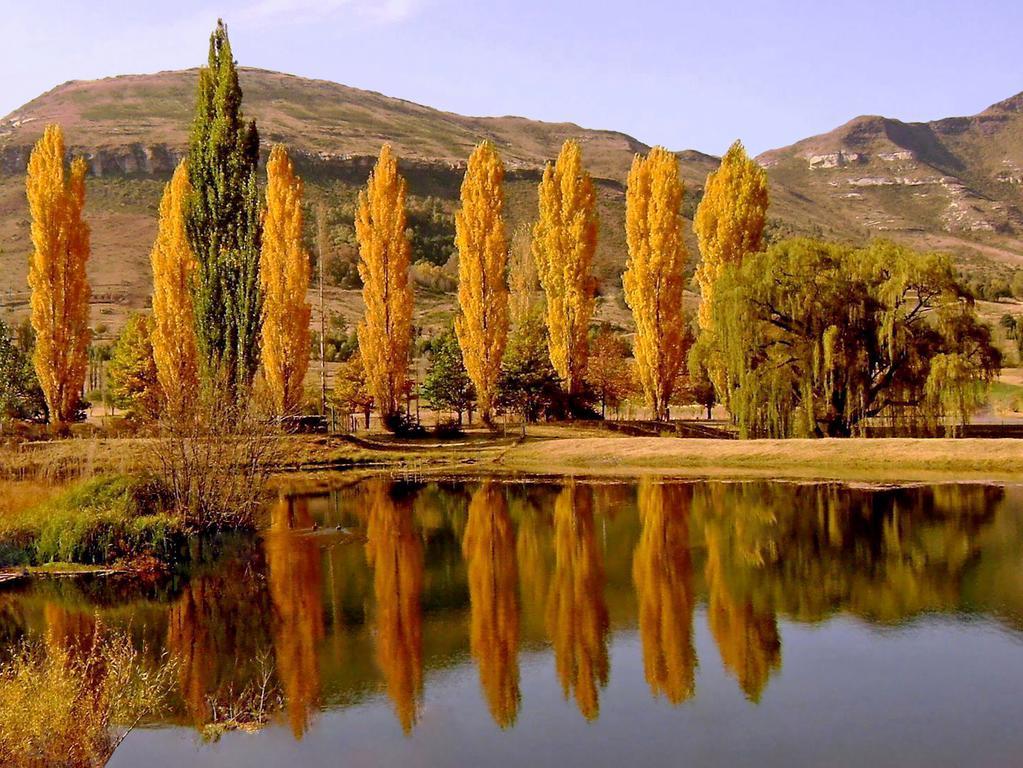 Lake Clarens Guest House الغرفة الصورة